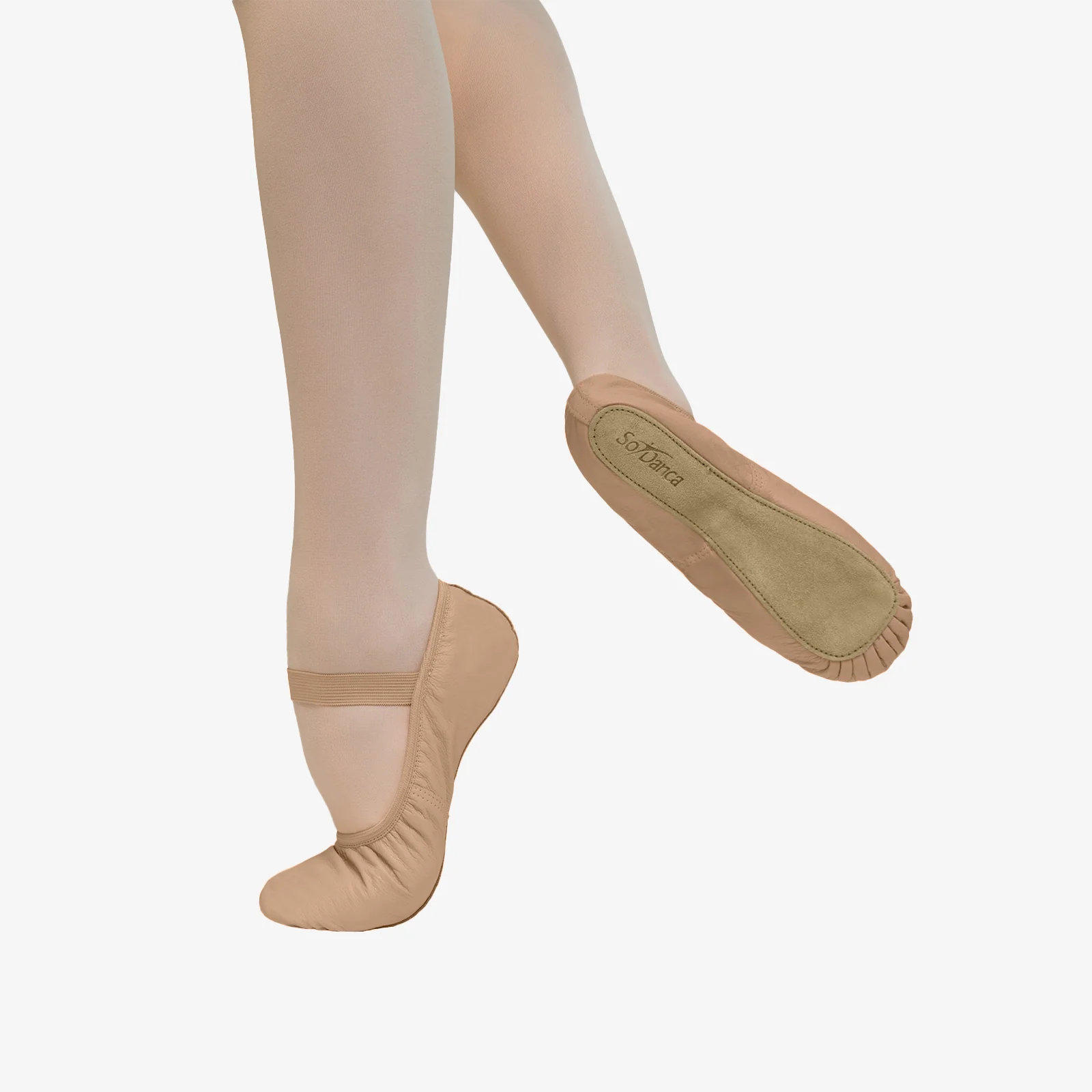 Brittany - SD69L (Adult) - Image 3